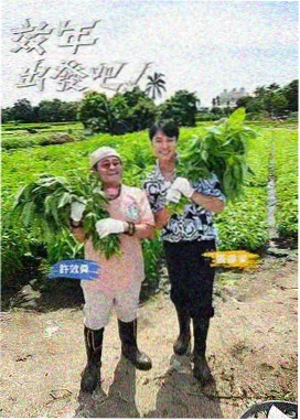 影像档案封面：己内酰胺精制装置与操作台特写